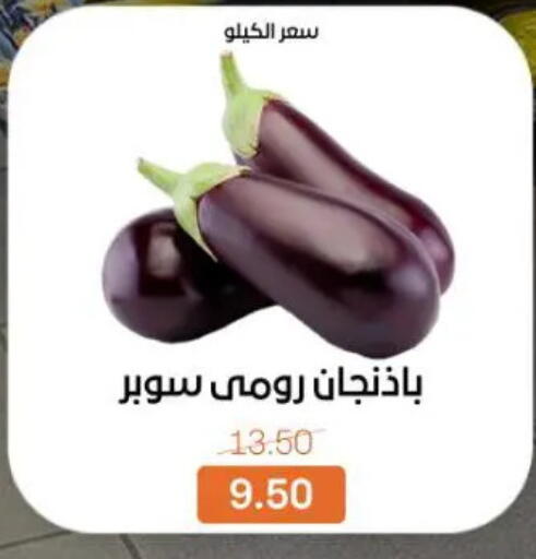 available at جملة ماركت in Egypt - القاهرة