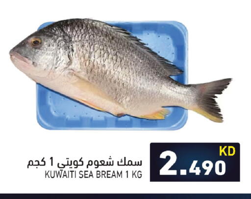 available at  رامز in الكويت - محافظة الأحمدي