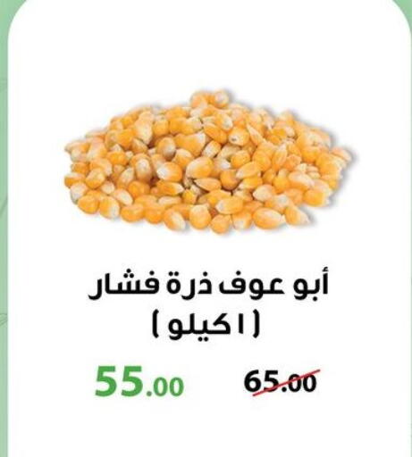 available at جيان مصر in Egypt - القاهرة