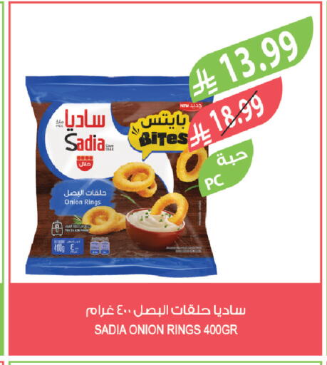 Onion available at Farm  in KSA, Saudi Arabia, Saudi - Yanbu