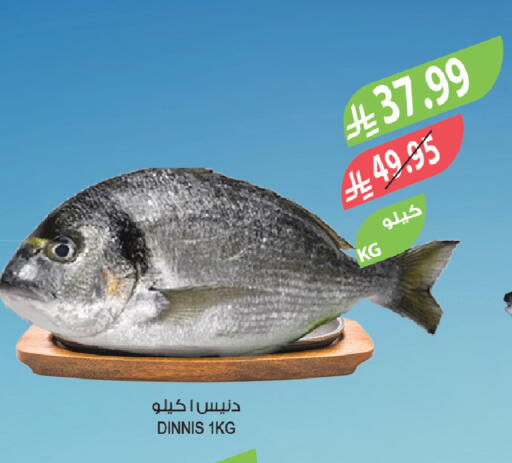 available at المزرعة in مملكة العربية السعودية, السعودية, سعودية - الخفجي