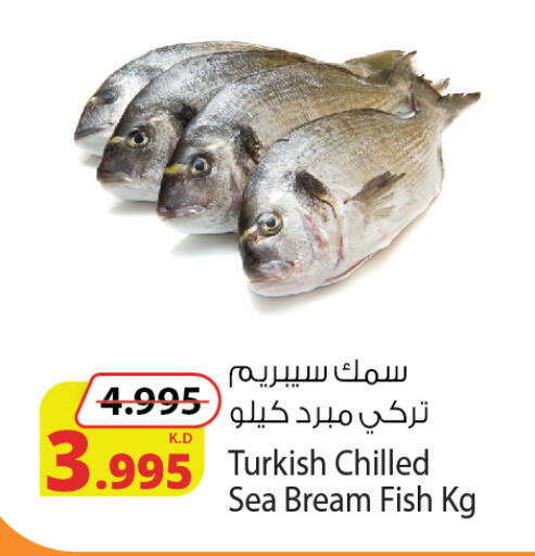 available at Agricultural Food Products Co. in Kuwait - Jahra Governorate