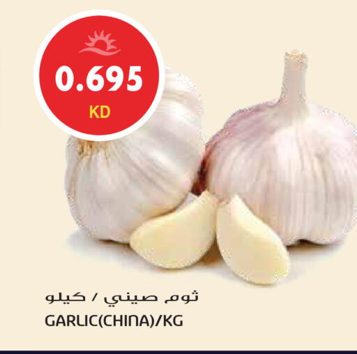 Garlic from China available at Grand Hyper in Kuwait - Jahra Governorate