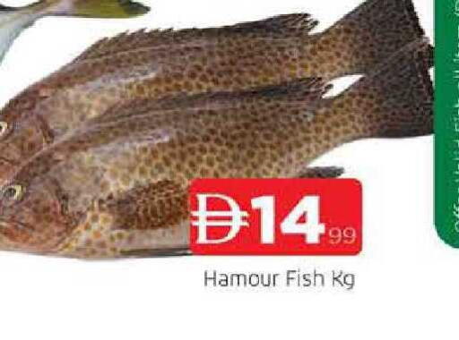 available at AL MADINA in UAE - Sharjah / Ajman