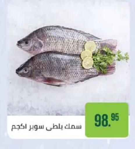 available at سعودي سوبرماركت in Egypt - القاهرة