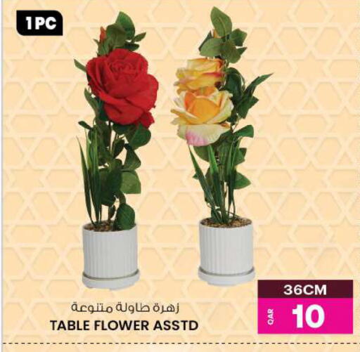 available at أنصار جاليري in قطر - الوكرة