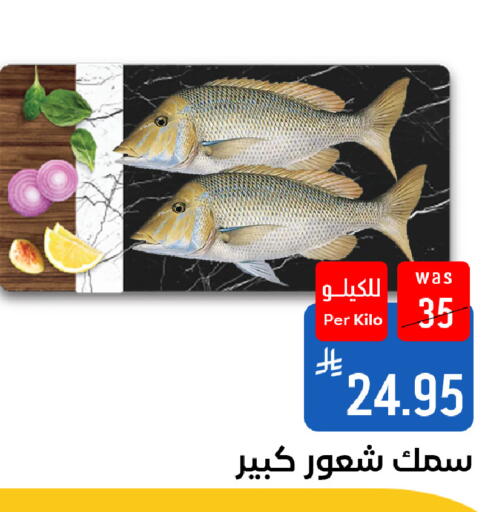 available at شبرا الطائف in مملكة العربية السعودية, السعودية, سعودية - الطائف