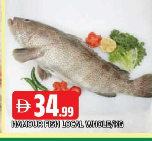 available at AL MADINA in UAE - Sharjah / Ajman