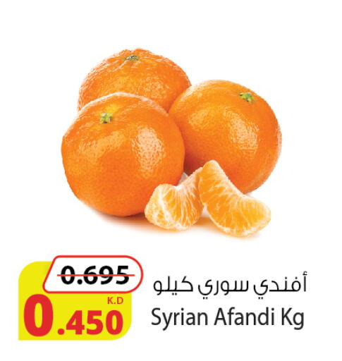 from Syria available at شركة المنتجات الزراعية الغذائية in الكويت - محافظة الجهراء