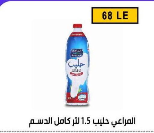 available at Ben Seleman in Egypt - Cairo