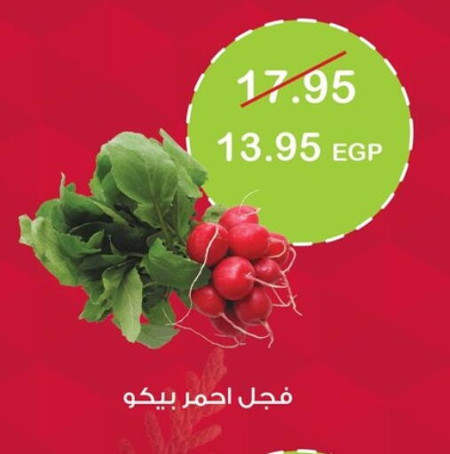 available at Géant Egypt in Egypt - Cairo