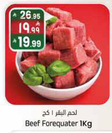 available at City Flower in KSA, Saudi Arabia, Saudi - Najran