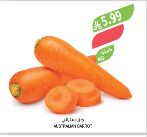 Carrot from Australia available at المزرعة in مملكة العربية السعودية, السعودية, سعودية - تبوك