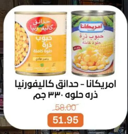 available at جملة ماركت in Egypt - القاهرة