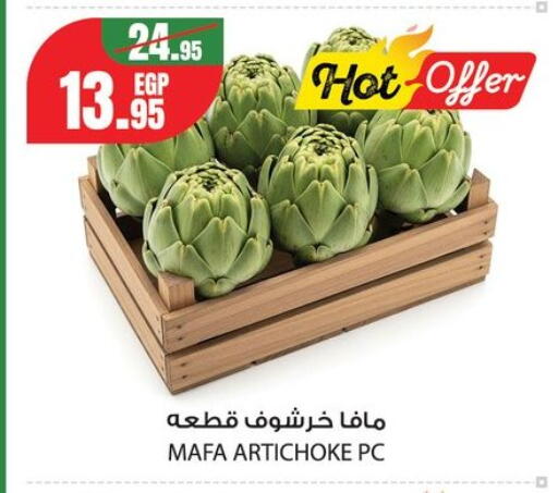 Artichoke from Egypt available at جيان مصر in Egypt - القاهرة