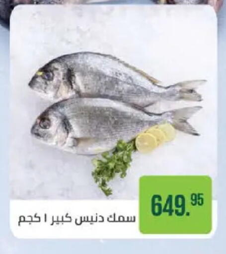 available at سعودي سوبرماركت in Egypt - القاهرة