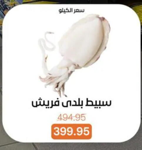 available at جملة ماركت in Egypt - القاهرة
