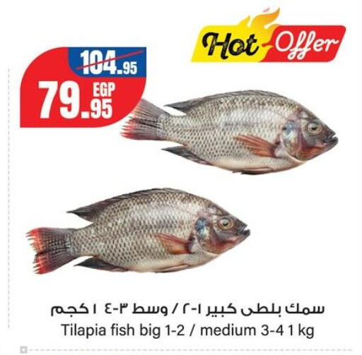 available at جيان مصر in Egypt - القاهرة