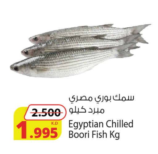 available at Agricultural Food Products Co. in Kuwait - Kuwait City