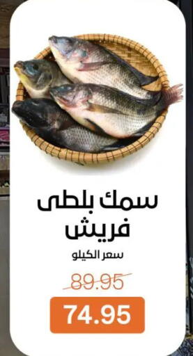 available at جملة ماركت in Egypt - القاهرة