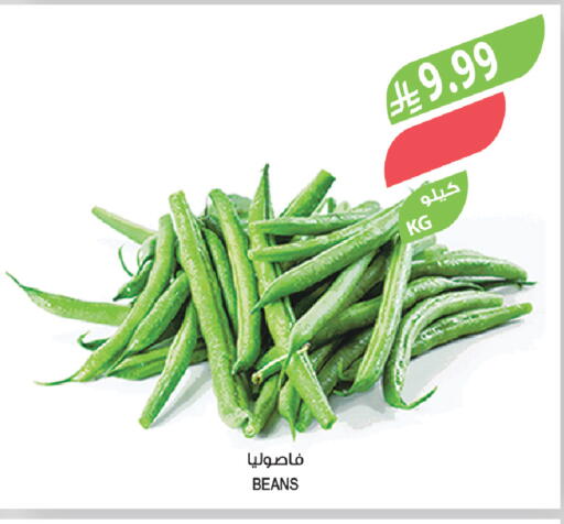 available at Farm  in KSA, Saudi Arabia, Saudi - Sakaka