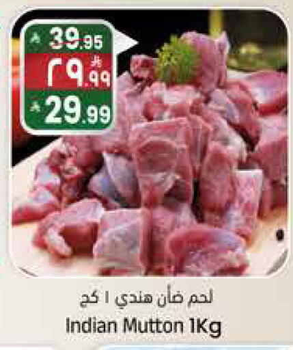 available at City Flower in KSA, Saudi Arabia, Saudi - Najran