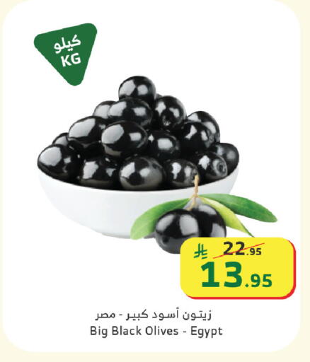 available at Al Raya in KSA, Saudi Arabia, Saudi - Ta'if