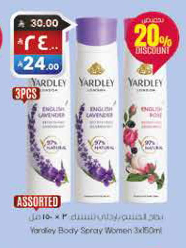 available at City Flower in KSA, Saudi Arabia, Saudi - Sakaka