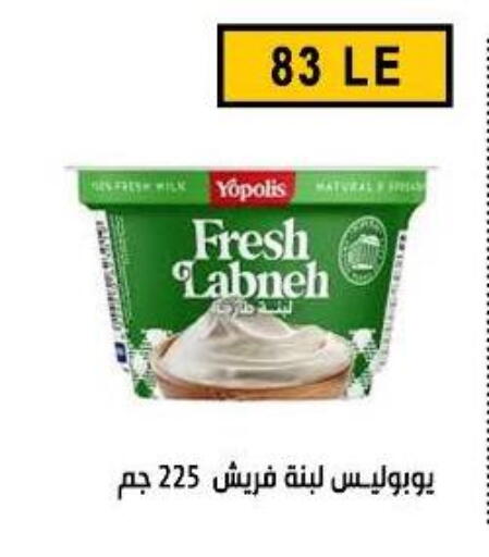 available at Ben Seleman in Egypt - Cairo