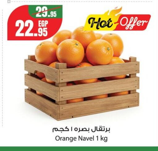 Orange from Egypt available at جيان مصر in Egypt - القاهرة