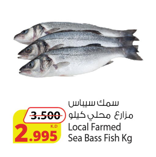 available at Agricultural Food Products Co. in Kuwait - Kuwait City