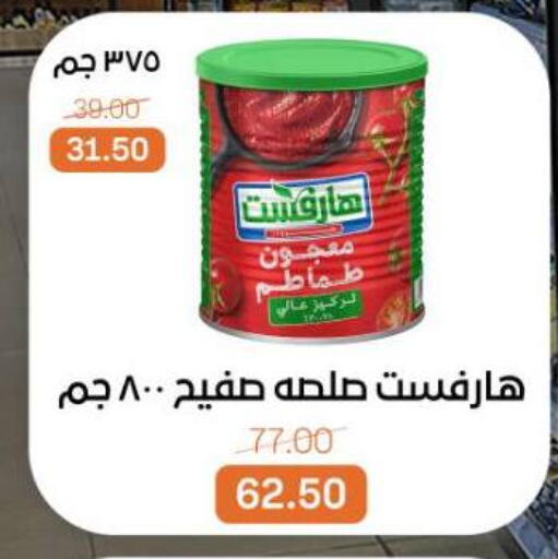 available at Beit El Gomla in Egypt - Cairo