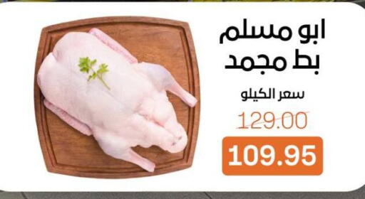 available at بيت الجملة in Egypt - القاهرة