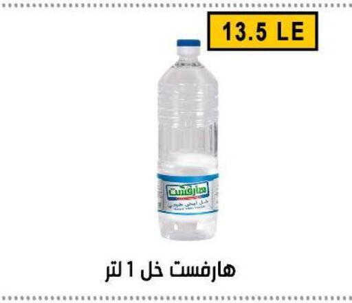 available at Ben Seleman in Egypt - Cairo