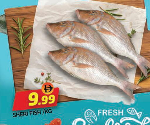 available at AL MADINA in UAE - Sharjah / Ajman