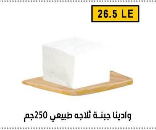 available at Ben Seleman in Egypt - Cairo