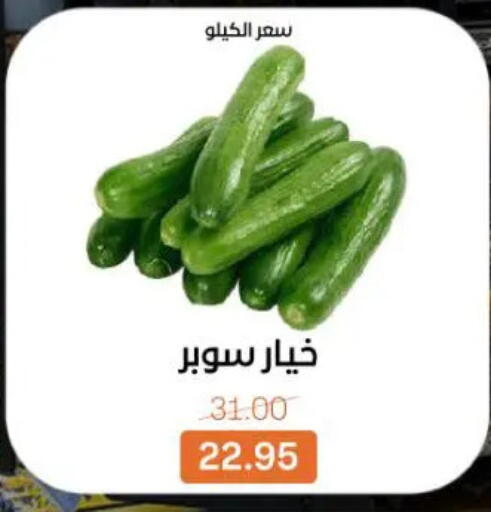 available at جملة ماركت in Egypt - القاهرة