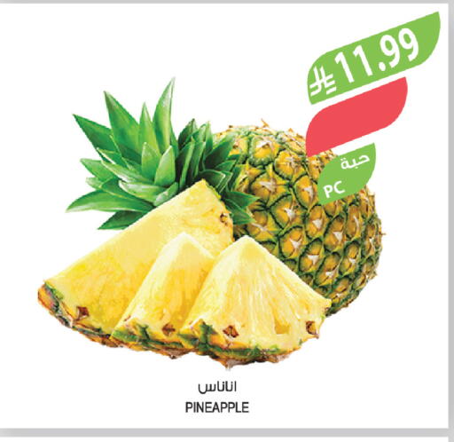 Pineapple available at Farm  in KSA, Saudi Arabia, Saudi - Saihat