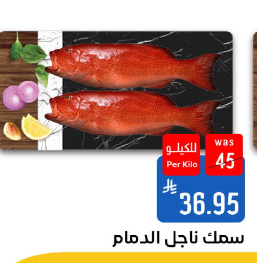 available at شبرا الطائف in مملكة العربية السعودية, السعودية, سعودية - الطائف