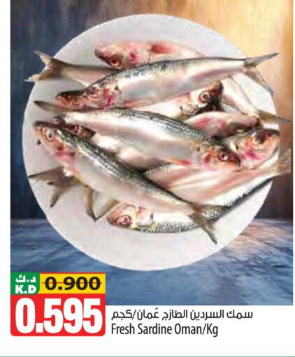 Mango available at مانجو هايبرماركت in الكويت - محافظة الأحمدي