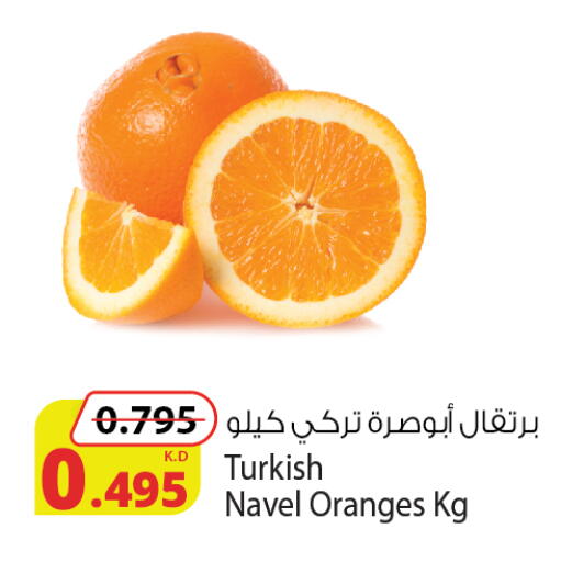 from Turkey available at شركة المنتجات الزراعية الغذائية in الكويت - محافظة الجهراء