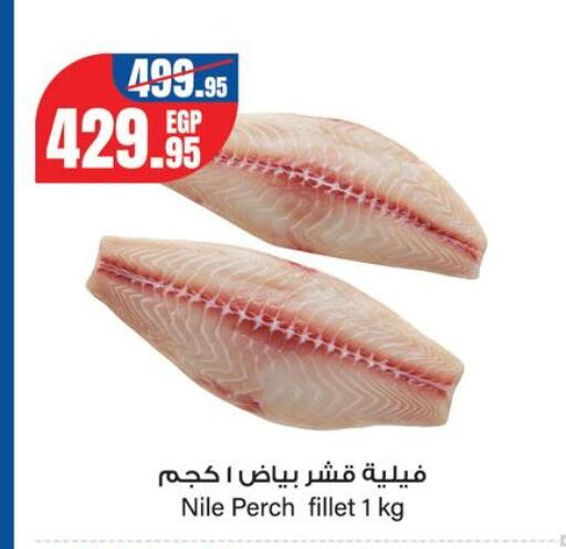 available at جيان مصر in Egypt - القاهرة