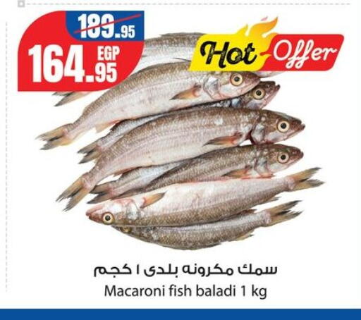 available at جيان مصر in Egypt - القاهرة