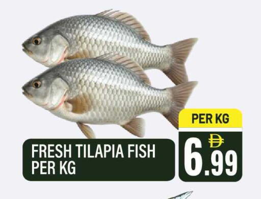 available at Dream Land in UAE - Sharjah / Ajman