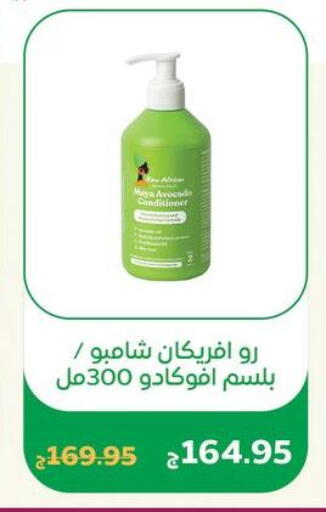 Avocado available at جيان مصر in Egypt - القاهرة