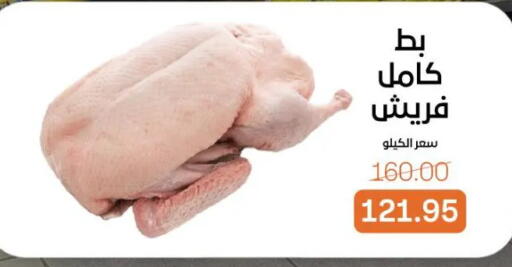 available at جملة ماركت in Egypt - القاهرة