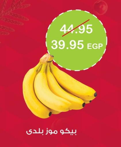 from Egypt available at جيان مصر in Egypt - القاهرة