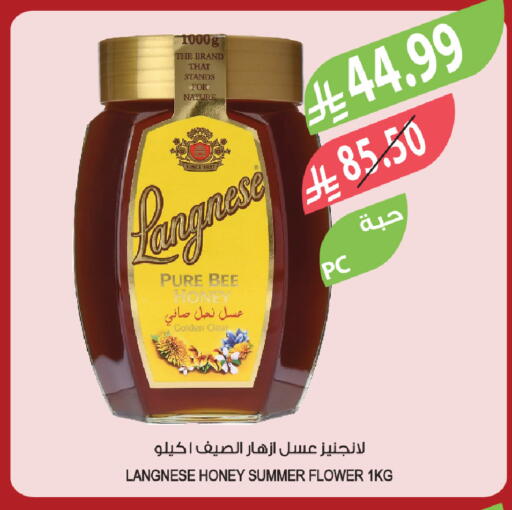 available at المزرعة in مملكة العربية السعودية, السعودية, سعودية - الباحة