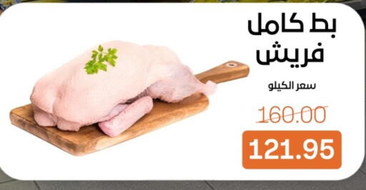 available at بيت الجملة in Egypt - القاهرة