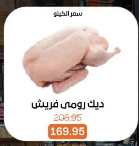 available at جملة ماركت in Egypt - القاهرة